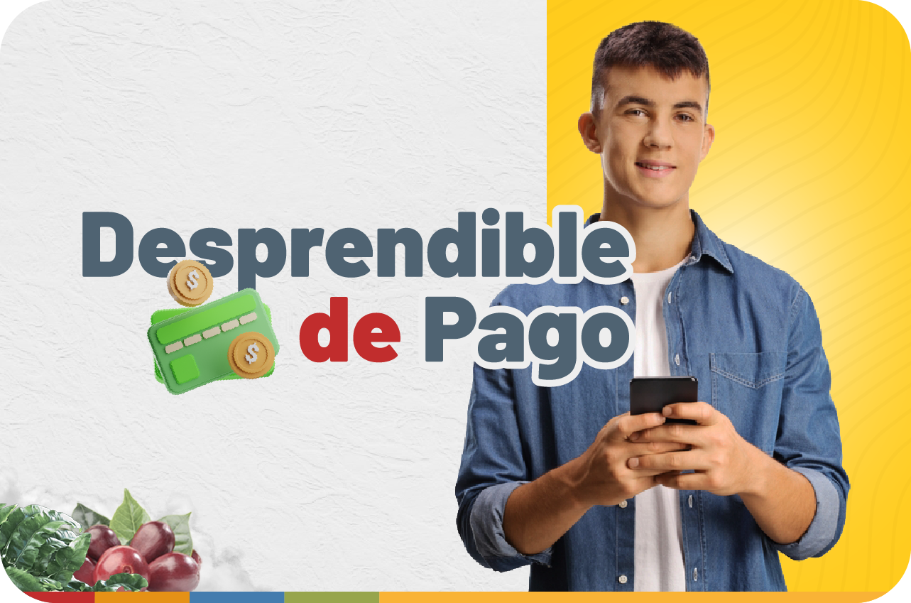 Desprendible de pago